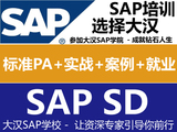 SAP SD高级顾问精英班