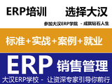 ERP 销售管理高级顾问精英班